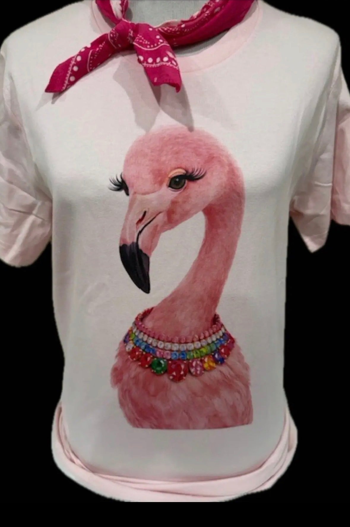PRE-ORDER Collar Flamingo Crew